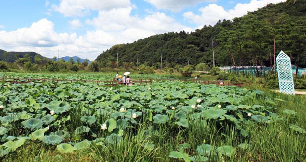 Gyeongan Marsh Ecological Park