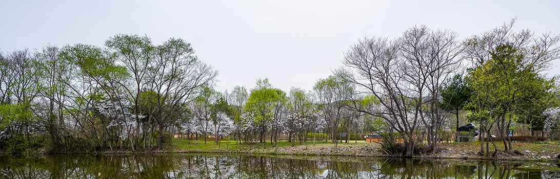 경안습지생태공원 전경3