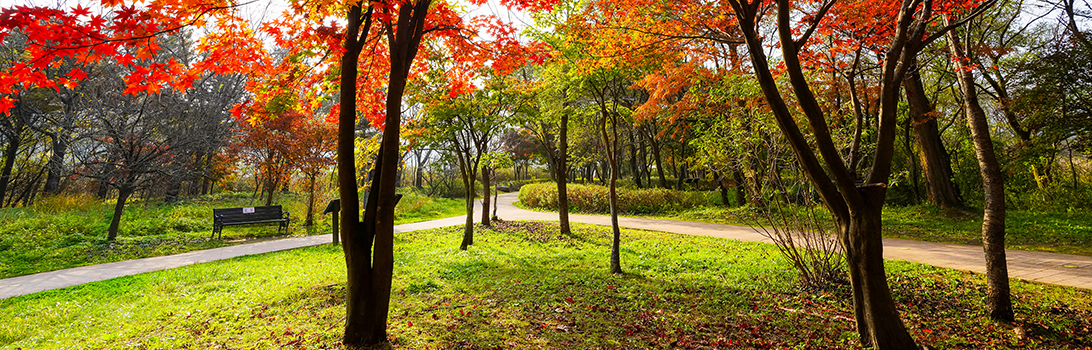 경안습지생태공원 전경7