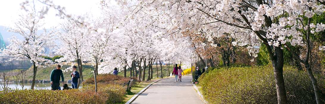 중대물빛공원 전경4
