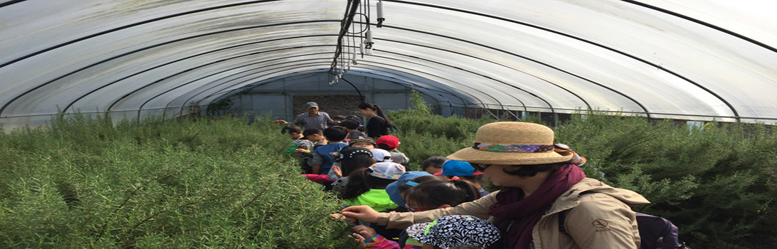 오색향농원 전경6