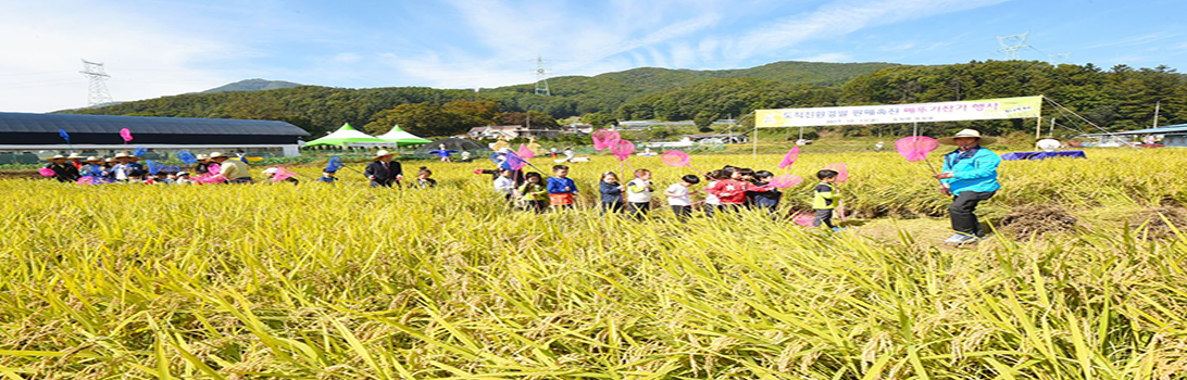 유정뜰농원 전경8